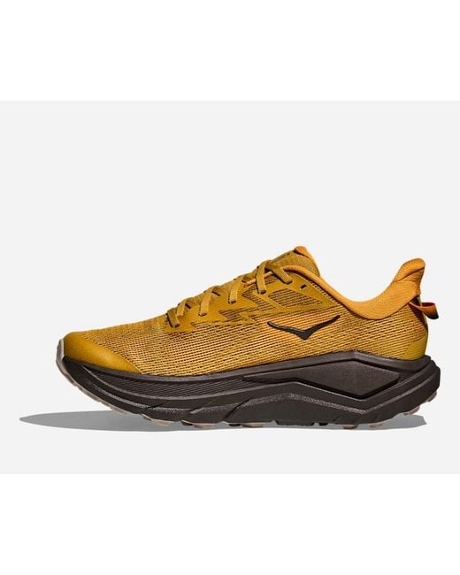 Hoka One One Multicolor Challenger 8 Road Running Shoes for men