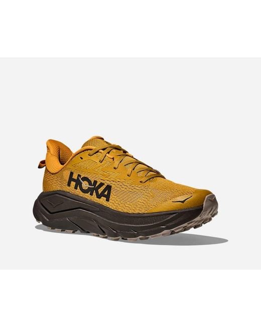 Hoka One One Multicolor Challenger 8 Road Running Shoes for men