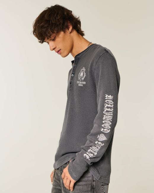 Hollister Thermo-Henley mit Hollywood-Grafik in Gray für Herren