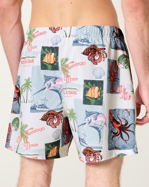 Hollister Blue Mid-thigh Swim Trunks for men