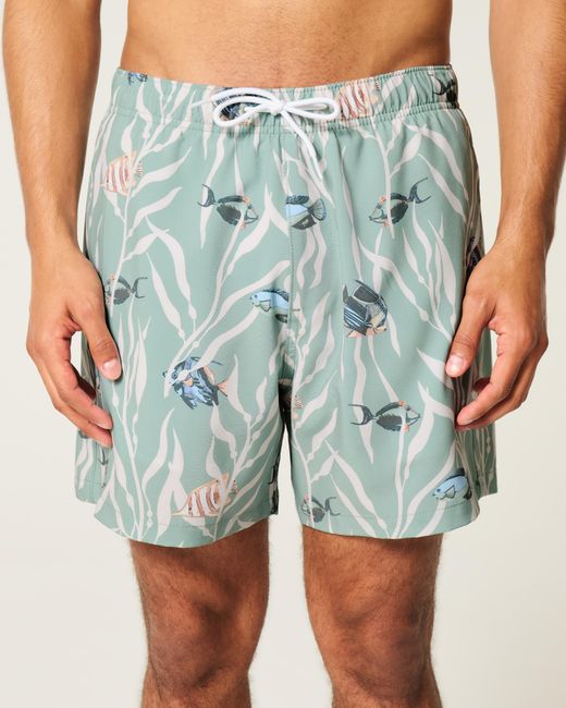 Hollister Blue Mid-thigh Swim Trunks for men
