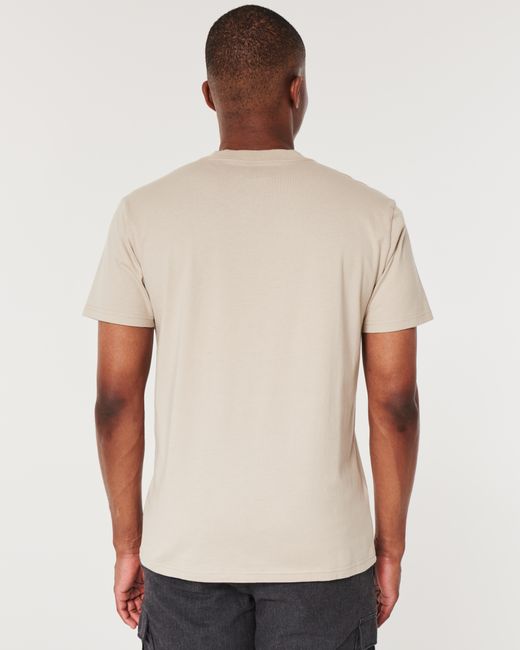 Hollister Natural Relaxed Logo Graphic Tee for men