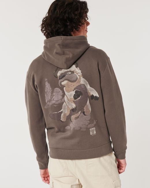 Hollister Brown Relaxed Avatar The Last Airbender Graphic Hoodie for men