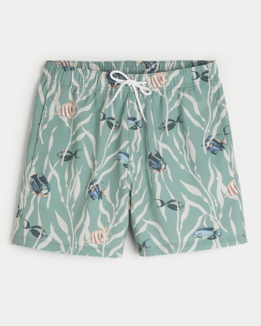 Hollister Blue Mid-thigh Swim Trunks for men