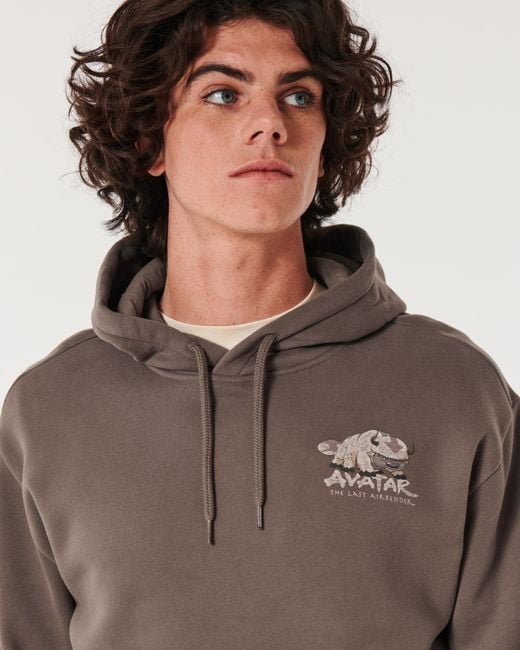 Hollister Brown Relaxed Avatar The Last Airbender Graphic Hoodie for men