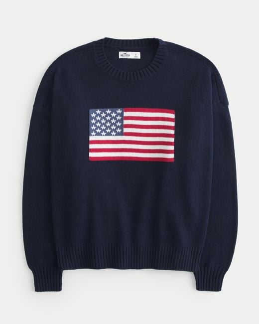 Hollister Blue American Flag Graphic Crew Sweater