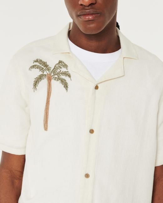 Hollister Natural Boxy Embroidered Palm Graphic Shirt for men