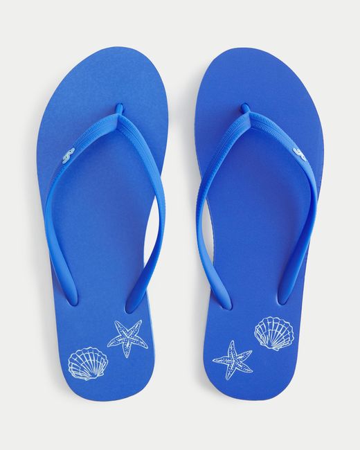 Hollister Blue Graphic Rubber Flip Flops
