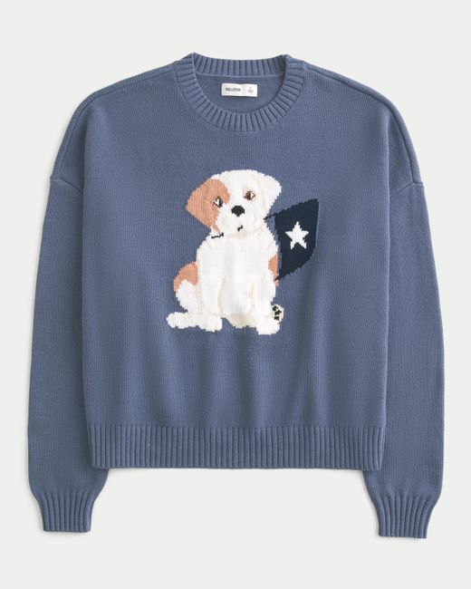 Hollister Blue Easy Puppy Graphic Crew Sweater