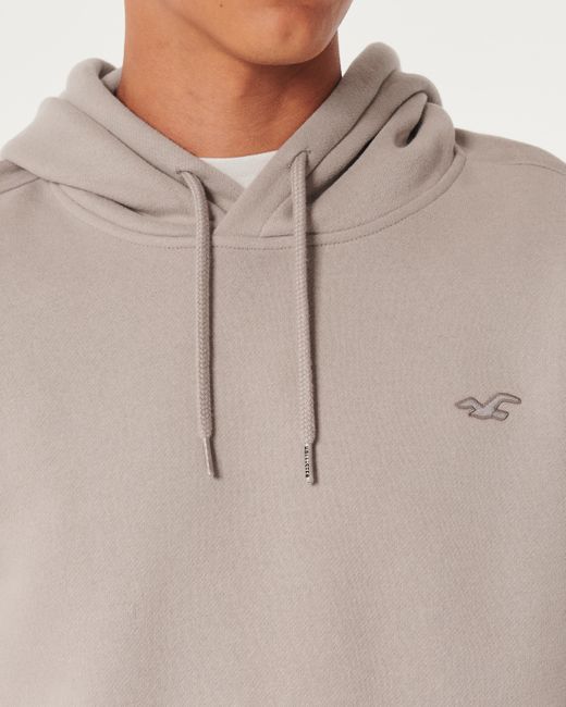 Hollister Gray Feel Good Icon Hoodie for men