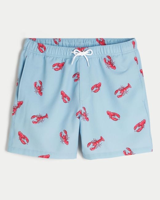 Hollister Blue Mid-thigh Seersucker Swim Trunks for men