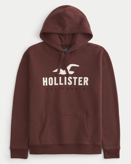 Hollister Brown Logo Graphic Hoodie for men