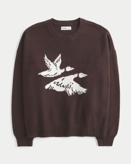 Hollister Brown Easy Flying Birds Graphic Crew Sweater
