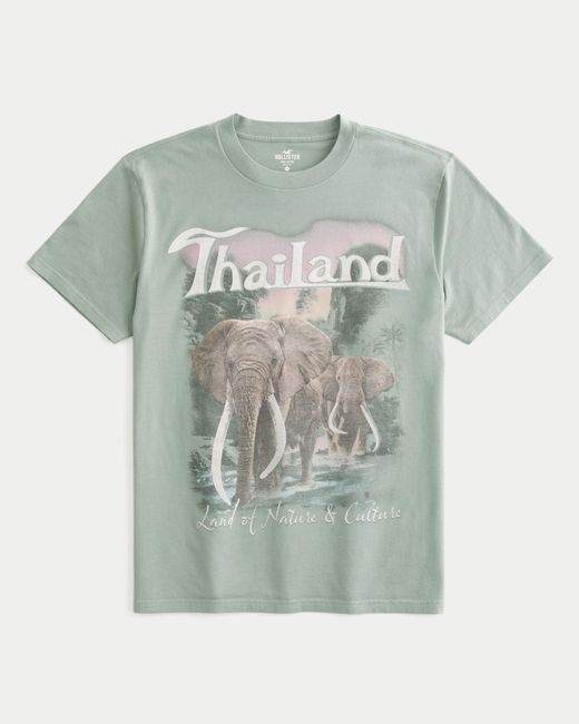 Hollister Green Relaxed Thailand Elephants Graphic Tee for men
