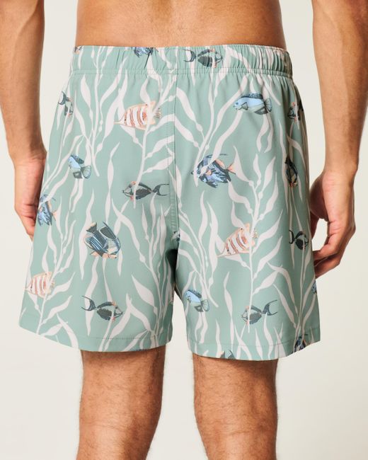Hollister Blue Mid-thigh Swim Trunks for men