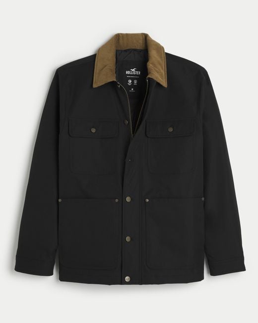 Hollister 2025 uk coats