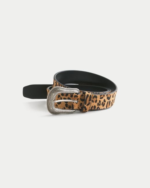 Hollister Black Faux Cheetah Fur Leather Belt for men