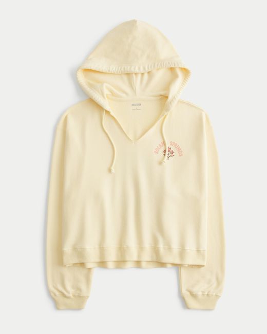 Hollister Natural Hollister Feel Good Easy Solana Springs Graphic Hoodie