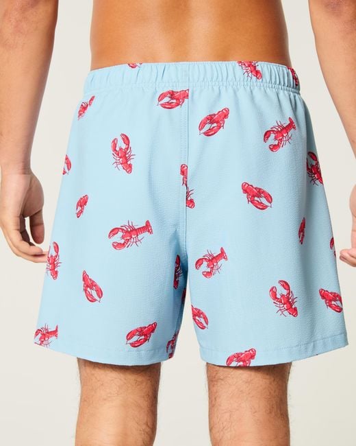 Hollister Blue Mid-thigh Seersucker Swim Trunks for men