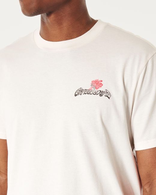 Hollister Pink Relaxed Grateful Dead Graphic Tee for men