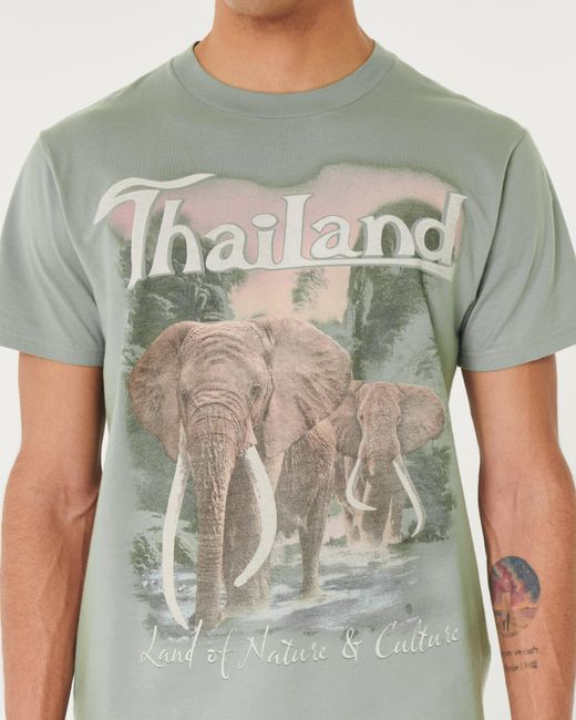 Hollister Green Relaxed Thailand Elephants Graphic Tee for men