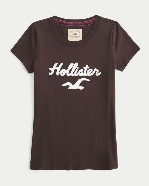 Hollister Brown Holiday Vault Release Logo Graphic Tee