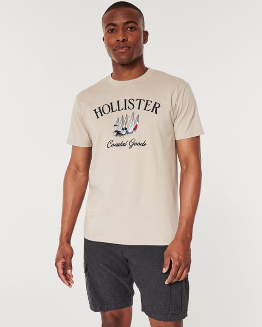 Hollister Natural Relaxed Logo Graphic Tee for men