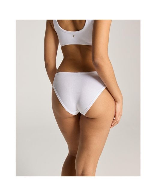 Nudea Brown Mini Brief 2 Pack Organic Cotton