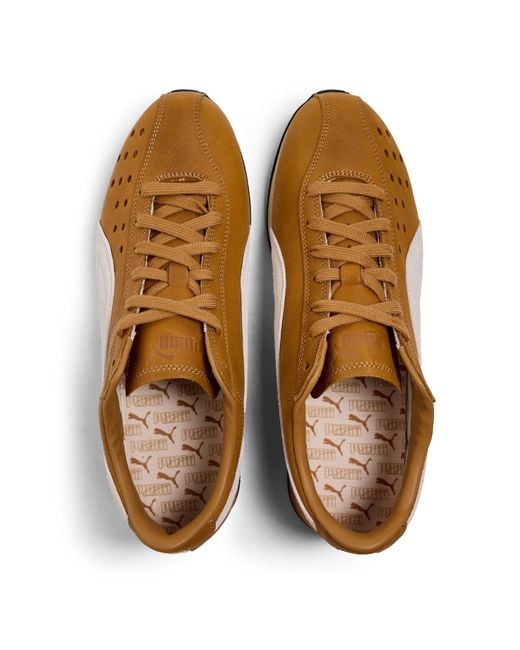 PUMA Brown Trainers for men