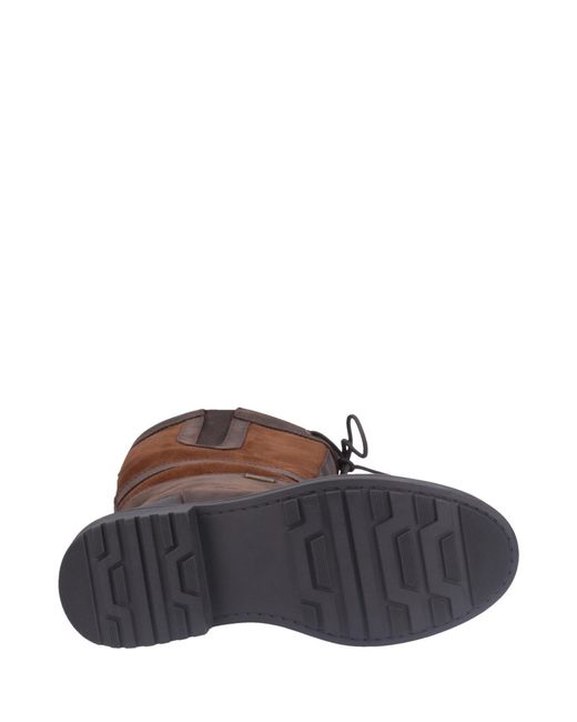 Cotswold Brown Broadway Boots