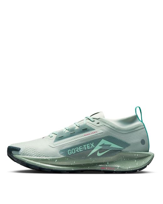 Nike Green Pegasus Trail 5 Gore-Tex Running Shoes for men
