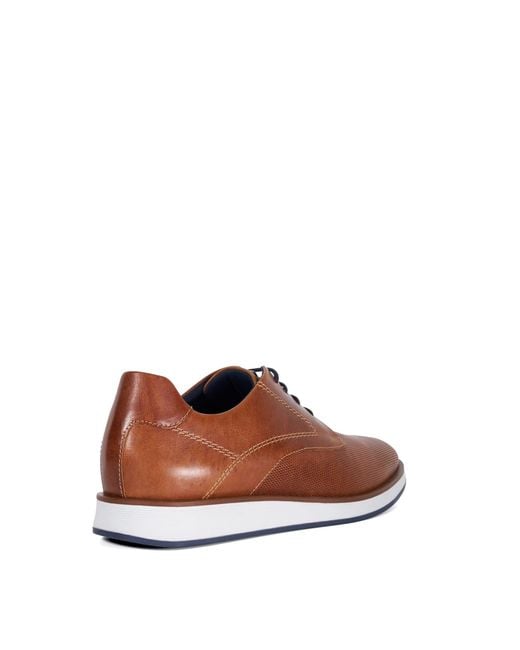 Dune Brown Beko Derby Shoes for men