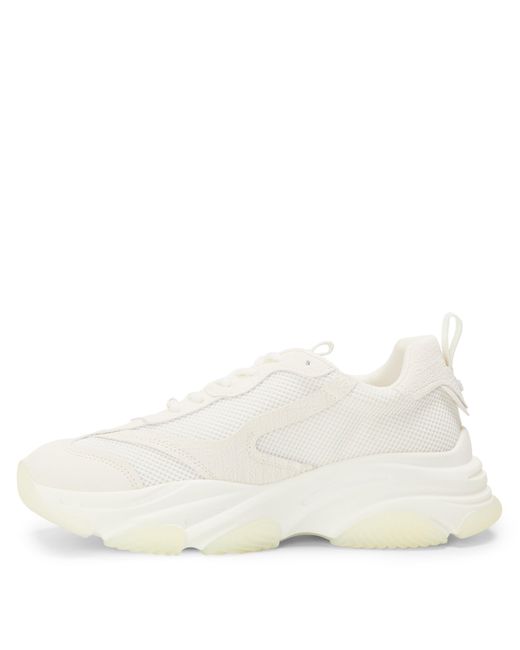 Steve Madden White Possess Low-Top Trainers for men