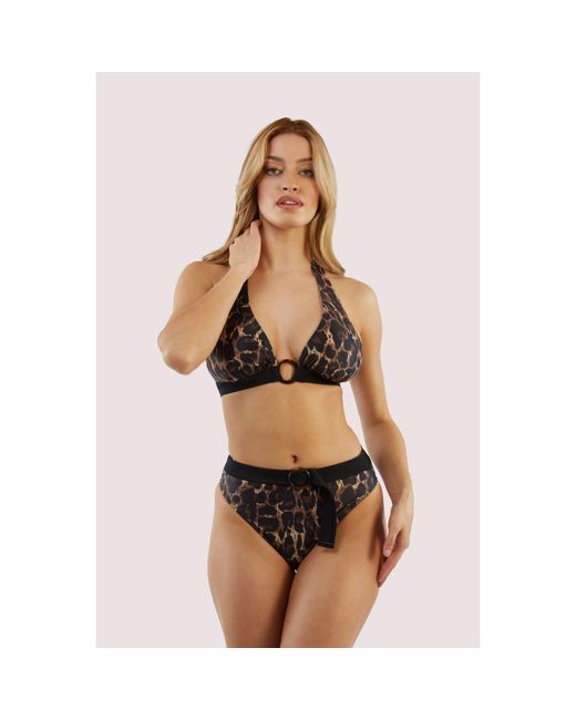 Playful Promises Black Eco Leopard Jayne Bikini Brief