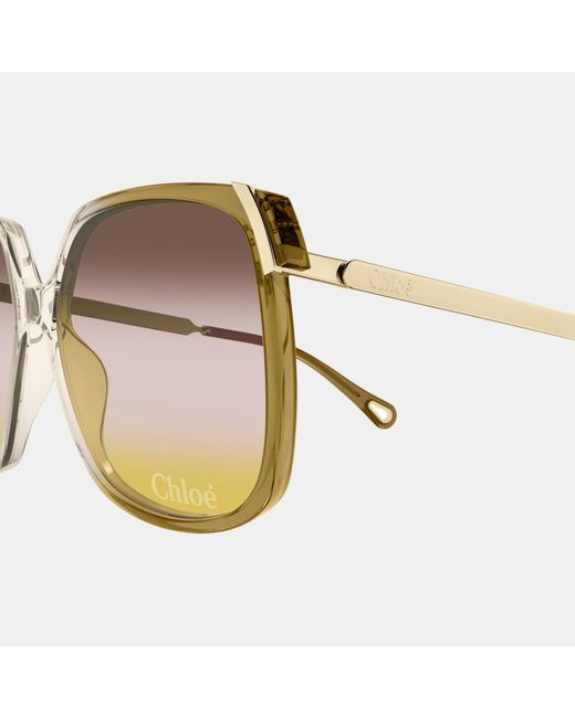 Chloé Multicolor Ch0286S Oversized Sunglasses
