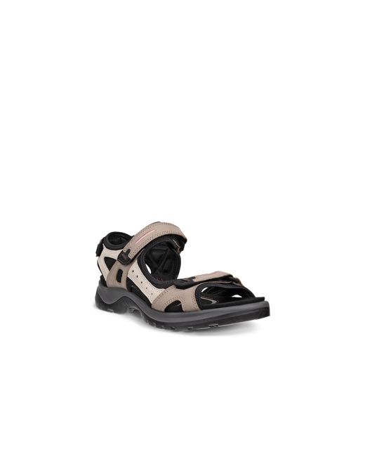 Ecco Brown Seasonal Walking Sandals