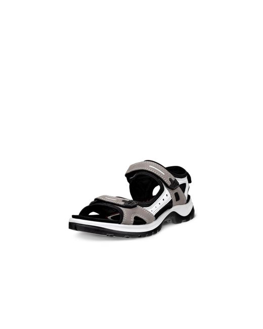 Ecco Black Seasonal Walking Sandals