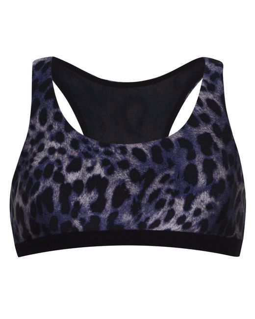 Koral Blue Tax Cheetah Bra