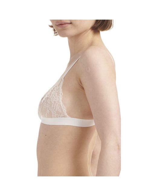 Polo Ralph Lauren Multicolor Lace Non Wired Triangle Bralette