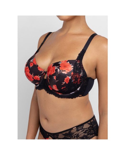 DORINA Red Demi Bra