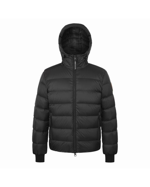 ARCTIC ARMY Black Polar Lw Puff Hooded Long Sleeve Short Puffer Jacket for men