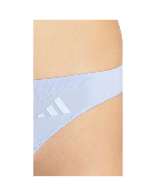 Adidas Blue Low Rise Thong 3Pk