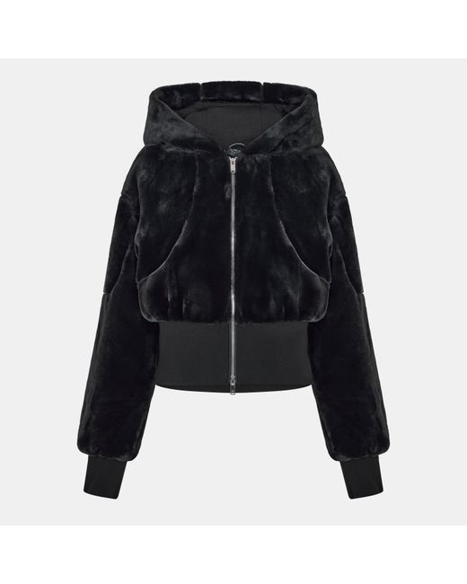 Moose Knuckles Black Rose De Bunny Insulated Bomber Jacket