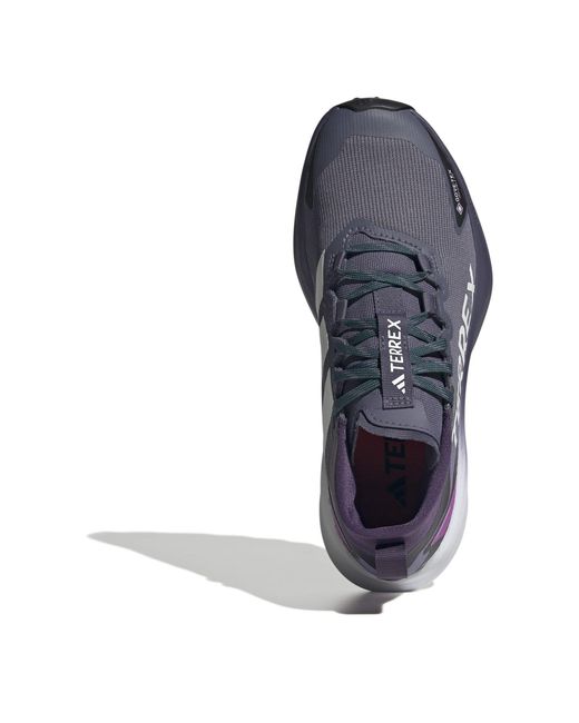 Adidas Blue Terrex Agravic Gtx Trail Running Shoes