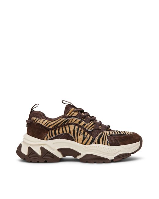 Steve Madden Brown Animates Chunky Trainers