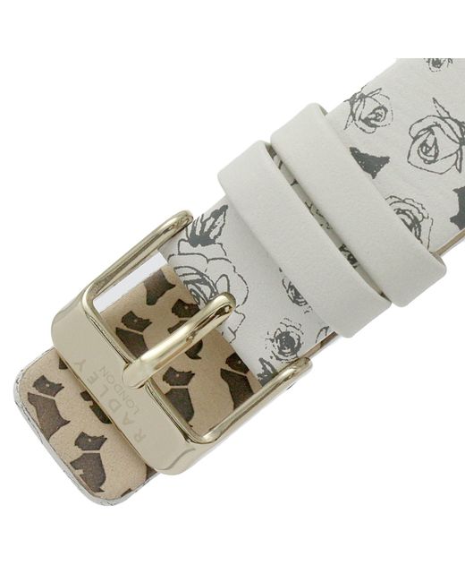 Radley Metallic Fashion Analogue Quartz Watch