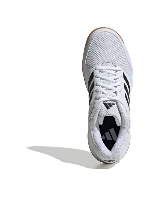 Adidas White Speedcourt Indoor Shoes