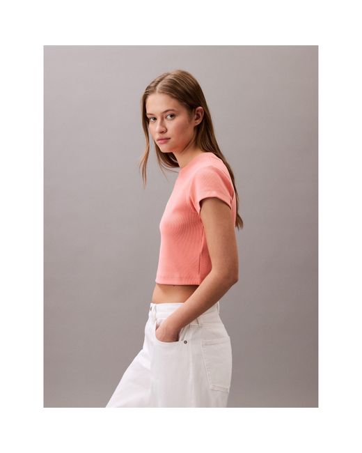 Calvin Klein Pink Mono Rib Cropped T Shirt
