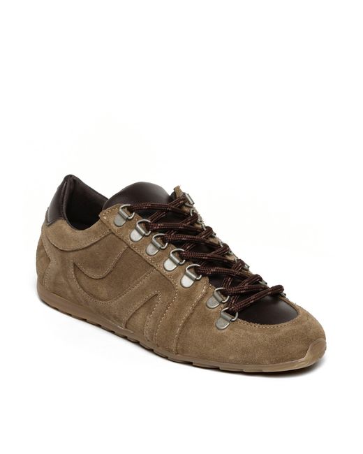 Steve Madden Brown Bless Low-Top Trainers