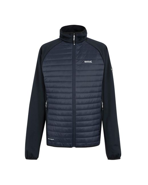 Regatta Blue Clumber Hybrid for men